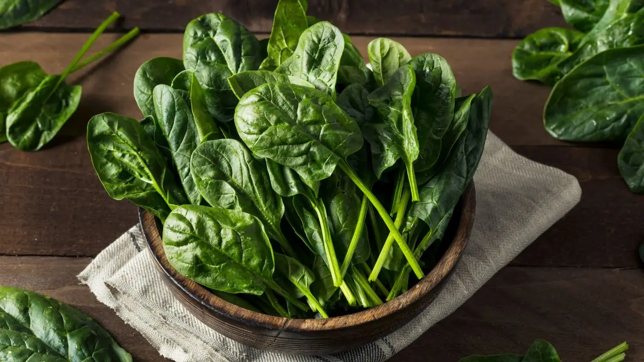 Non sono gli spinaci: ecco l’alimento sorprendente che contiene più ferro in assoluto