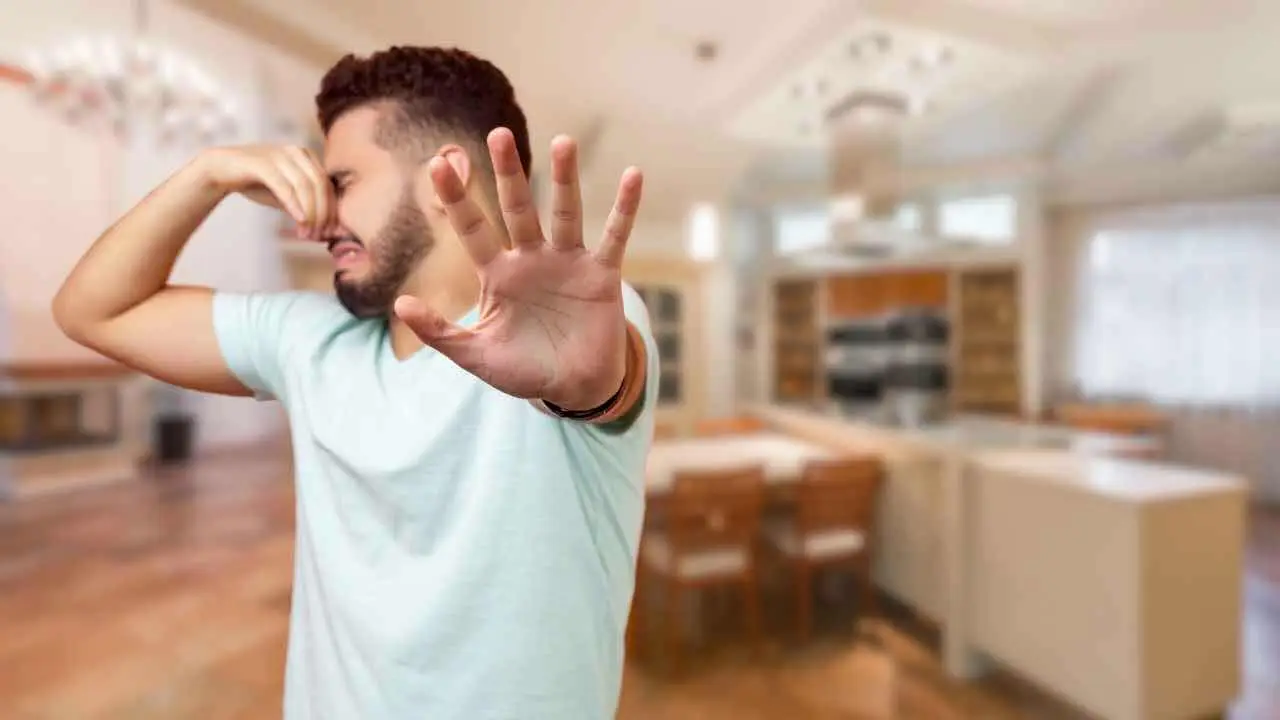 L’odore molesto del vicino è talmente forte che non dormi? Ecco quando diventa reato per la legge